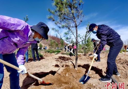 青海掀起春季义务植树高了 今年计划义务植树1500万株