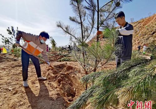 青海掀起春季义务植树高了 今年计划义务植树1500万株