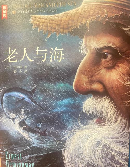 《老人与海》读后感600字作文(《老人与海》读后感500字左右)