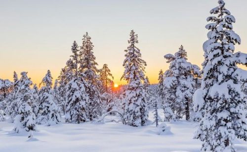 七言诗 大雪情怀诗句(大雪七言古诗)