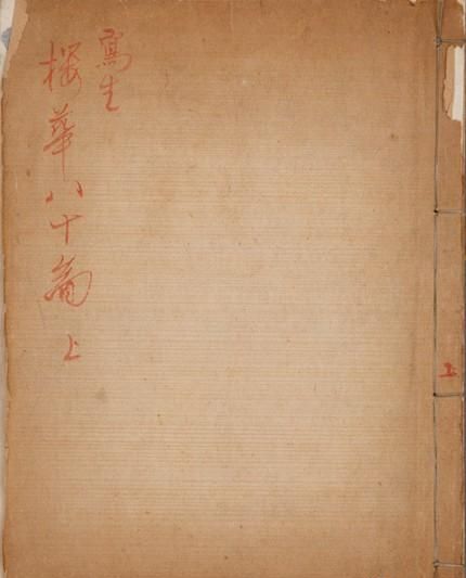 日本樱花画画(樱花画集)