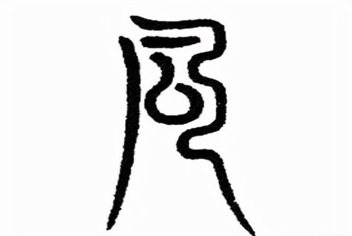 风字的汉字演变过程(风字的起源和演变)