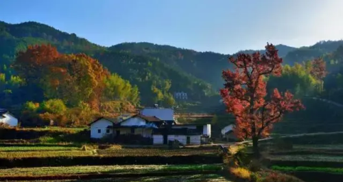 山居秋暝中的春芳歇指什么(山居秋暝 春芳)