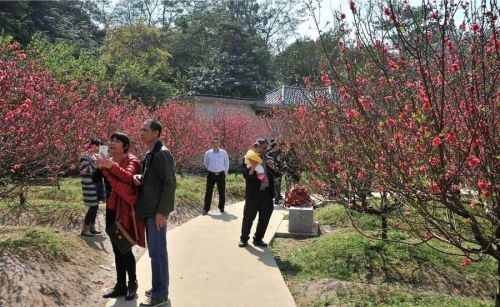 桃花树下桃花约(桃花树下什么意思)