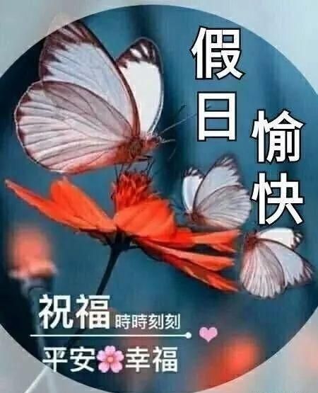 早上好微信问候语温馨短句(早上好微信祝福语大全)