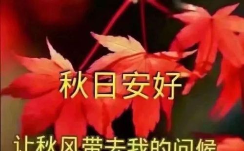 早上好微信问候语温馨短句(早上好微信祝福语大全)