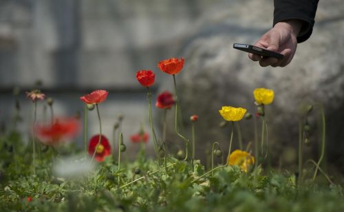 春风得意,走马观花(春风得意走马观花成语故事)