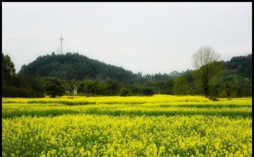 笠翁对韵五歌全文拼音(笠翁对韵五歌朗读)