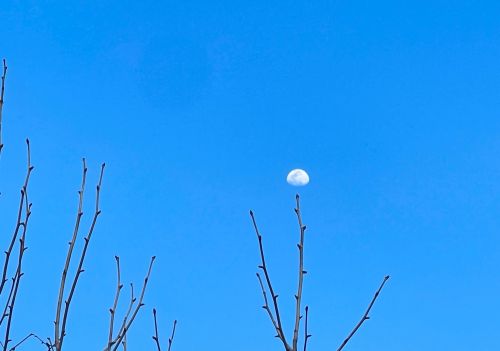 蓝天上有月亮扩写句子(蓝天上白云是什么歌曲)