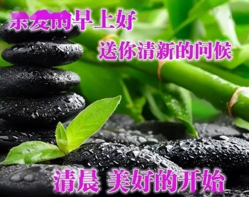 早上好的祝福语表情(早上好祝福词语各种各样表情)