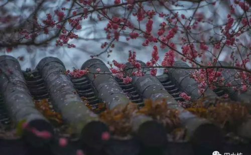 花田酒肆电话(花田酒肆)