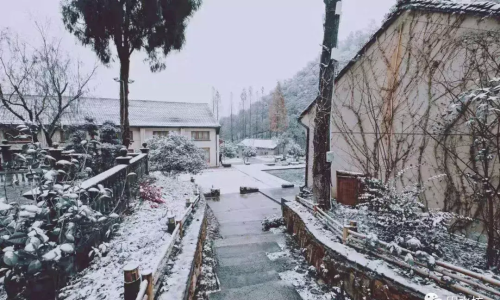 花田酒肆电话(花田酒肆)