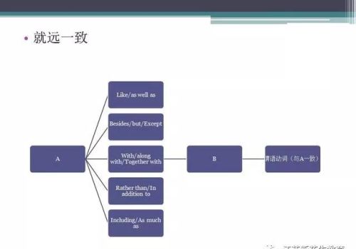 主谓一致指的是什么(主谓一致详细讲解)