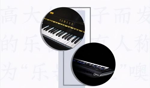 钢琴和电子键盘的区别(钢琴键盘与电子琴的区别)