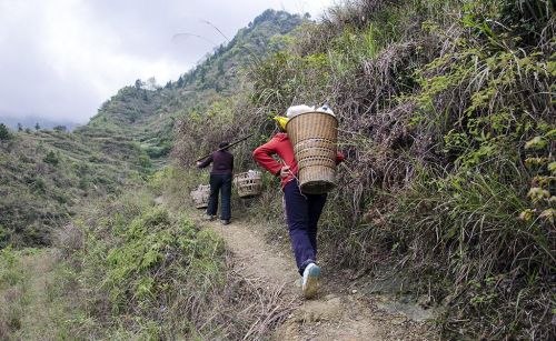 艰难跋涉30里崎岖羊肠山路，亲历体验山里人生活的艰辛