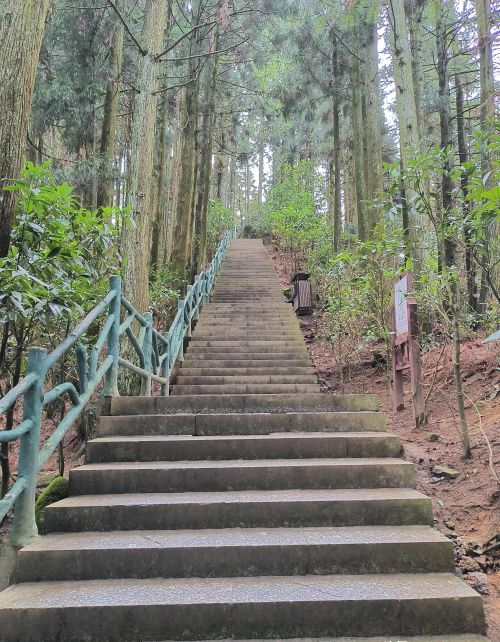 井冈山红色路线一日游(井冈山红色旅游线路)