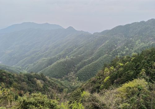 井冈山红色路线一日游(井冈山红色旅游线路)