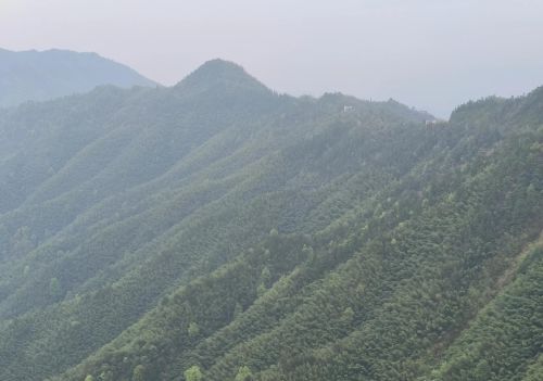 井冈山红色路线一日游(井冈山红色旅游线路)