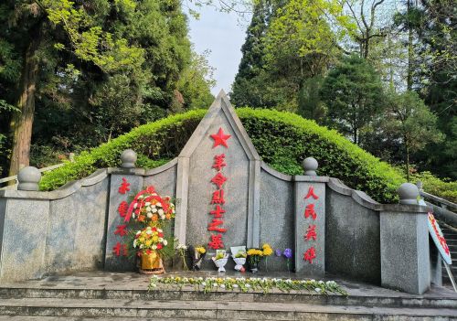 井冈山红色路线一日游(井冈山红色旅游线路)