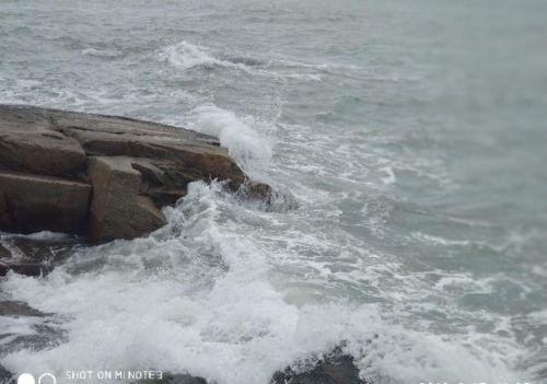 一个人看海的图片(一个人看海,是一个样子,和别人去看海,是另一个样子)