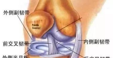 后交叉韧带损伤的自我检查方法(后交叉韧带损伤的自我检查有哪些)
