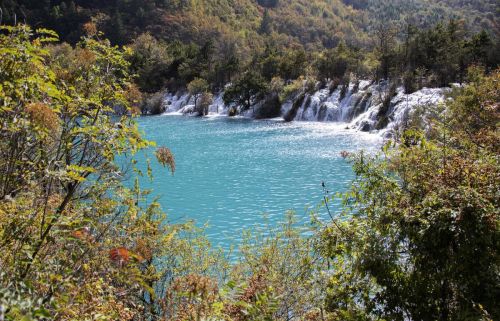 倒影在湖水中的叶子像什么(倒影在湖水中的叶子叫什么)