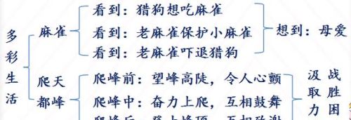 四年级上册语文园地五交流平台的初试身手(四年级上语文园地五初试身手)