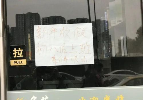 一次一次被放鸽子(被一次次放鸽子的心情)