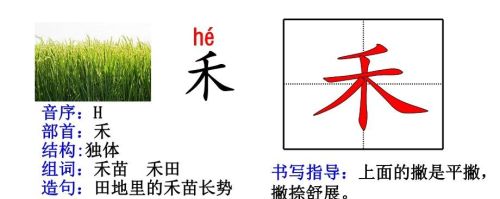 人教版一年级语文生字部首偏旁汇总(一年级的偏旁生字卡片怎么做)