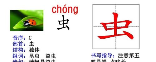 人教版一年级语文生字部首偏旁汇总(一年级的偏旁生字卡片怎么做)