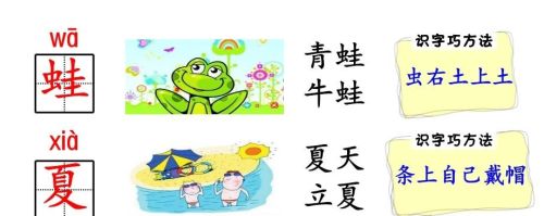 人教版一年级语文生字部首偏旁汇总(一年级的偏旁生字卡片怎么做)