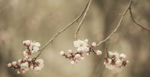 荏苒时光意思(荏苒的时光)