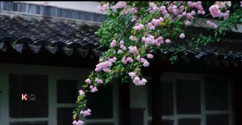 雷霆雨露俱是君恩的意思(雷霆雨露俱是君恩下一句)