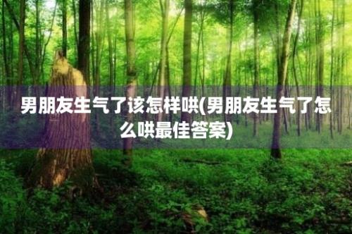 男朋友生气了该怎样哄(男朋友生气了怎么哄最佳答案)