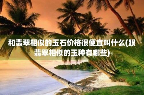 和翡翠相似的玉石价格很便宜叫什么(跟翡翠相似的玉种有哪些)