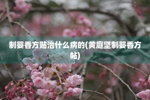 制婴香方贴治什么病的(黄庭坚制婴香方帖)