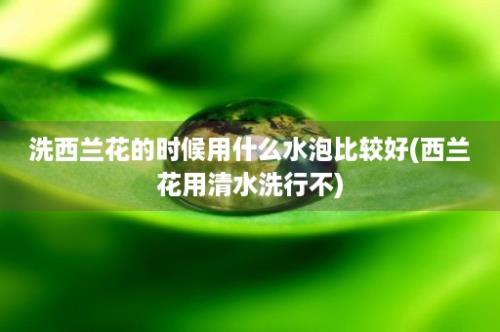 洗西兰花的时候用什么水泡比较好(西兰花用清水洗行不)