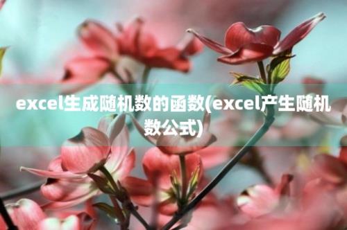 excel生成随机数的函数(excel产生随机数公式)