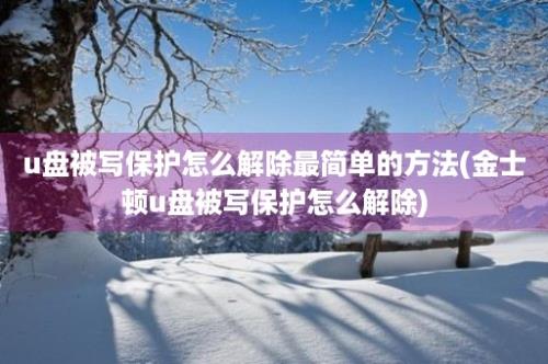 u盘被写保护怎么解除最简单的方法(金士顿u盘被写保护怎么解除)