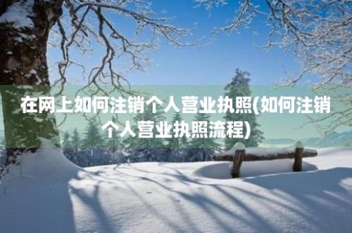 在网上如何注销个人营业执照(如何注销个人营业执照流程)