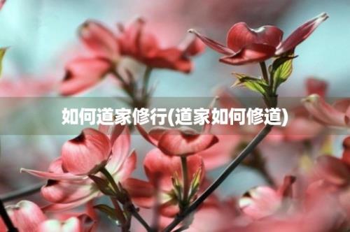 如何道家修行(道家如何修道)