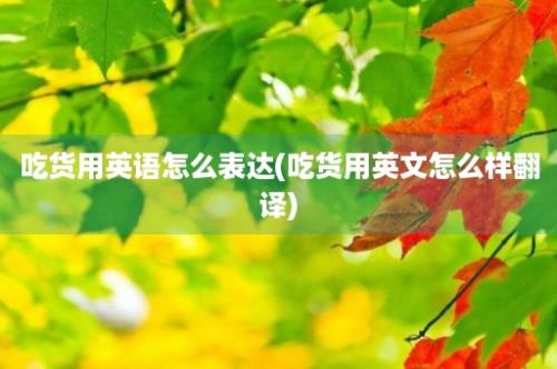 吃货用英语怎么表达(吃货用英文怎么样翻译)