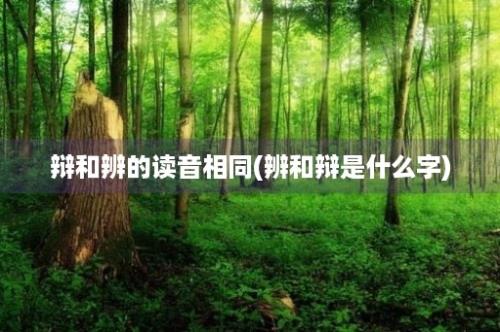 辩和辨的读音相同(辨和辩是什么字)