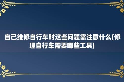 自己维修自行车时这些问题需注意什么(修理自行车需要哪些工具)