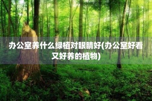 办公室养什么绿植对眼睛好(办公室好看又好养的植物)