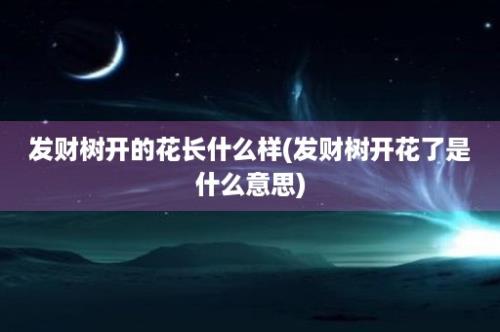 发财树开的花长什么样(发财树开花了是什么意思)