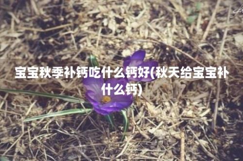 宝宝秋季补钙吃什么钙好(秋天给宝宝补什么钙)