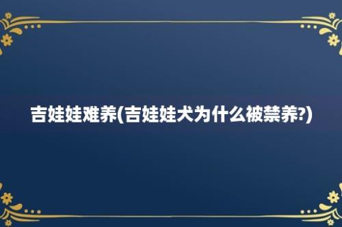 吉娃娃难养(吉娃娃犬为什么被禁养?)