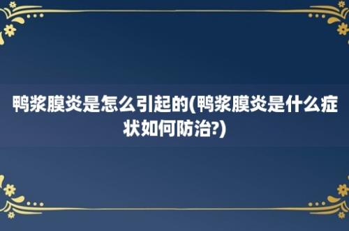 鸭浆膜炎是怎么引起的(鸭浆膜炎是什么症状如何防治?)