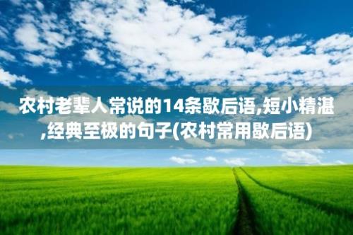 农村老辈人常说的14条歇后语,短小精湛,经典至极的句子(农村常用歇后语)